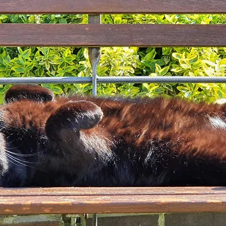 Διαμέρισμα Sommergarten