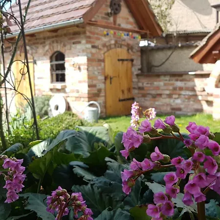 Sommergarten Markische Heide