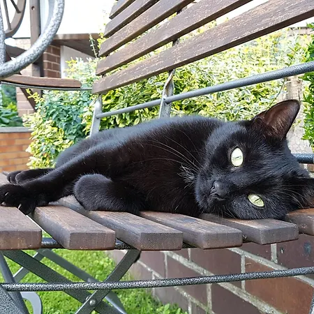 Sommergarten * Markische Heide