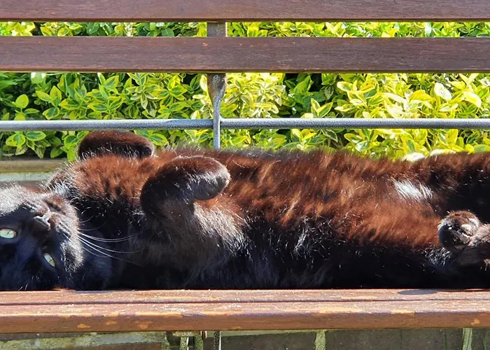 Apartamento Sommergarten