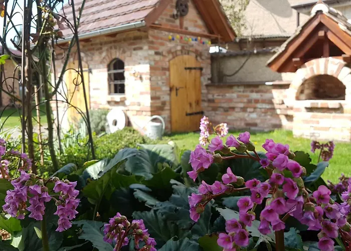Sommergarten Markische Heide