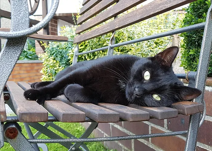 Sommergarten * Markische Heide